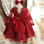 Baby Girls Princess Party Dresses Embroidery Flower Elegant Wedding Birthday Evening Gown Toddler Kids Formal Lace Dress 1-5 Yrs